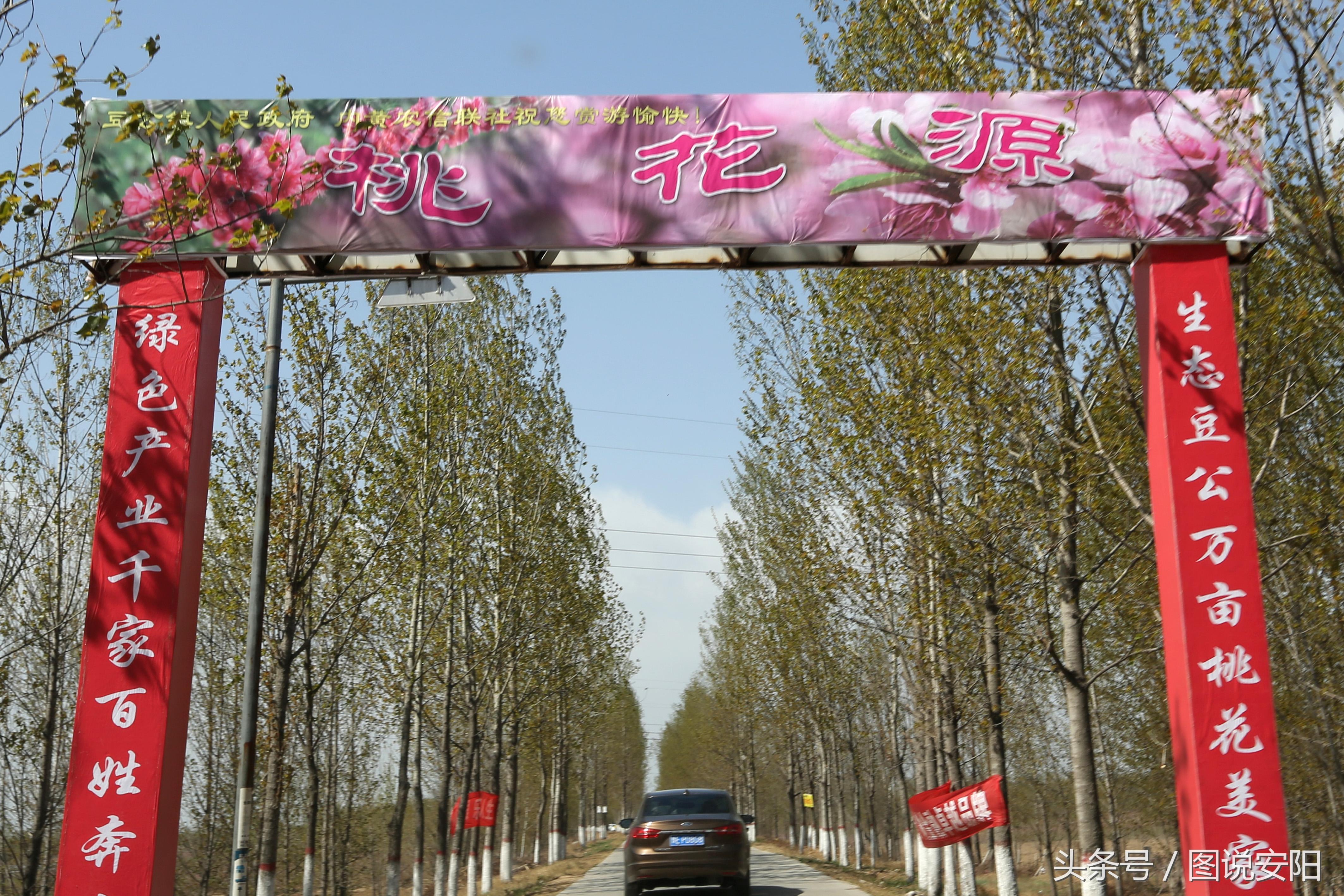 最新新聞趣事，心靈之旅探索自然美景的魅力