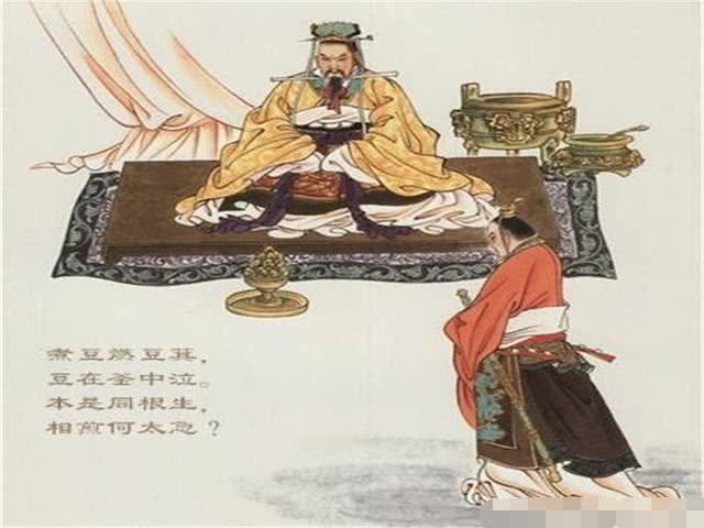 最新殺牛視頻，倫理、文化與社會(huì )的多維視角探討