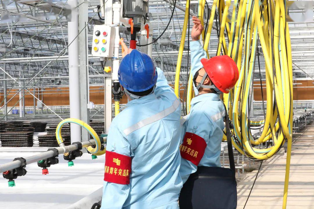 草海機場(chǎng)最新動(dòng)態(tài)揭秘，建設進(jìn)展、航班信息及未來(lái)展望