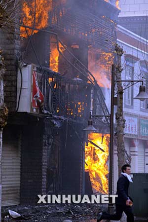 西藏最新事件，雪域高原的溫馨日常觀(guān)察