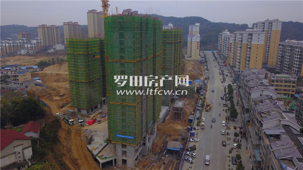 羅田最新房?jì)r(jià)揭秘，洞悉市場(chǎng)動(dòng)態(tài)，掌握房?jì)r(jià)走勢！