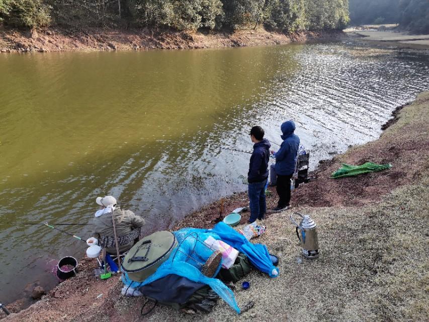 最新水庫釣魚(yú)視頻，探索釣魚(yú)樂(lè )趣與技巧全攻略