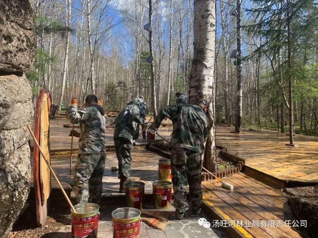 探尋神秘寶石世界的獨特魅力，最新奇石新聞報道