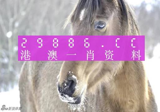 澳門(mén)一肖一碼100%精準王中王,專(zhuān)業(yè)調查具體解析_UDC27.876旗艦款