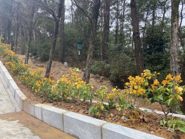 桂平手工，傳統與創(chuàng  )新的完美交融