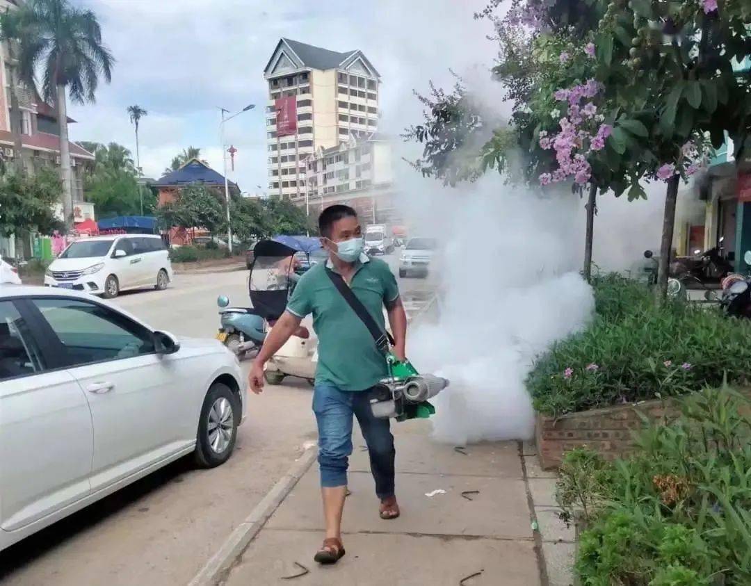 景洪登革熱最新疫情動(dòng)態(tài)，挑戰與自信之光的博弈