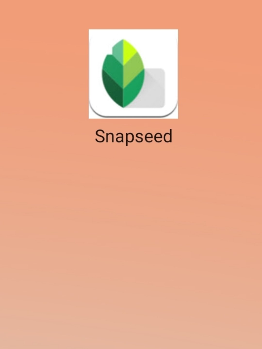 最新snapseed中文版，科技重塑影像，讓生活因攝影更精彩