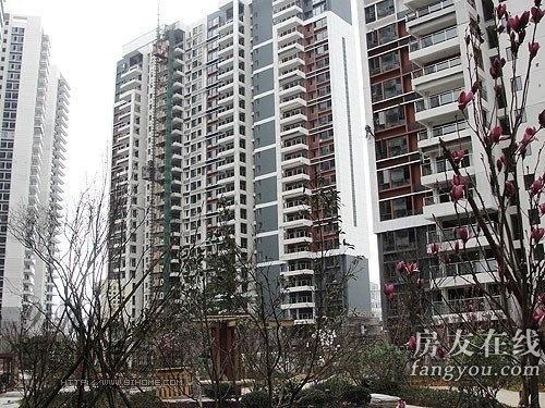 綠地長(cháng)島公寓最新價(jià)格揭秘，小巷深處的隱藏寶藏