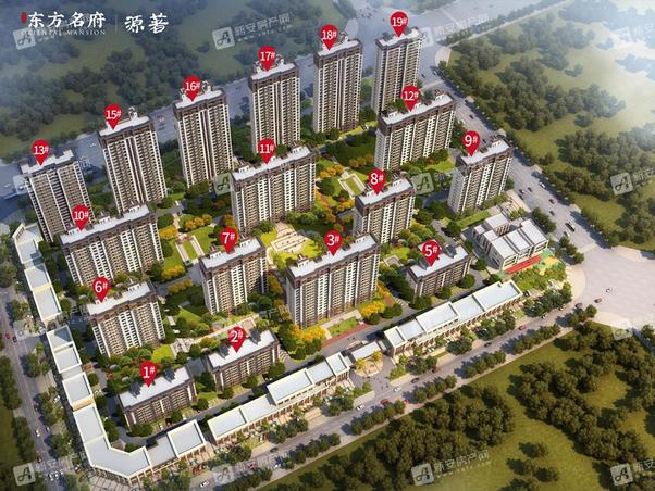 明光東郡最新動(dòng)態(tài)，友情的綻放與家的溫馨日常