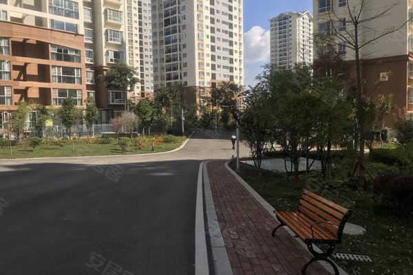 建禮家園最新動(dòng)態(tài)，小巷中的隱藏瑰寶揭秘