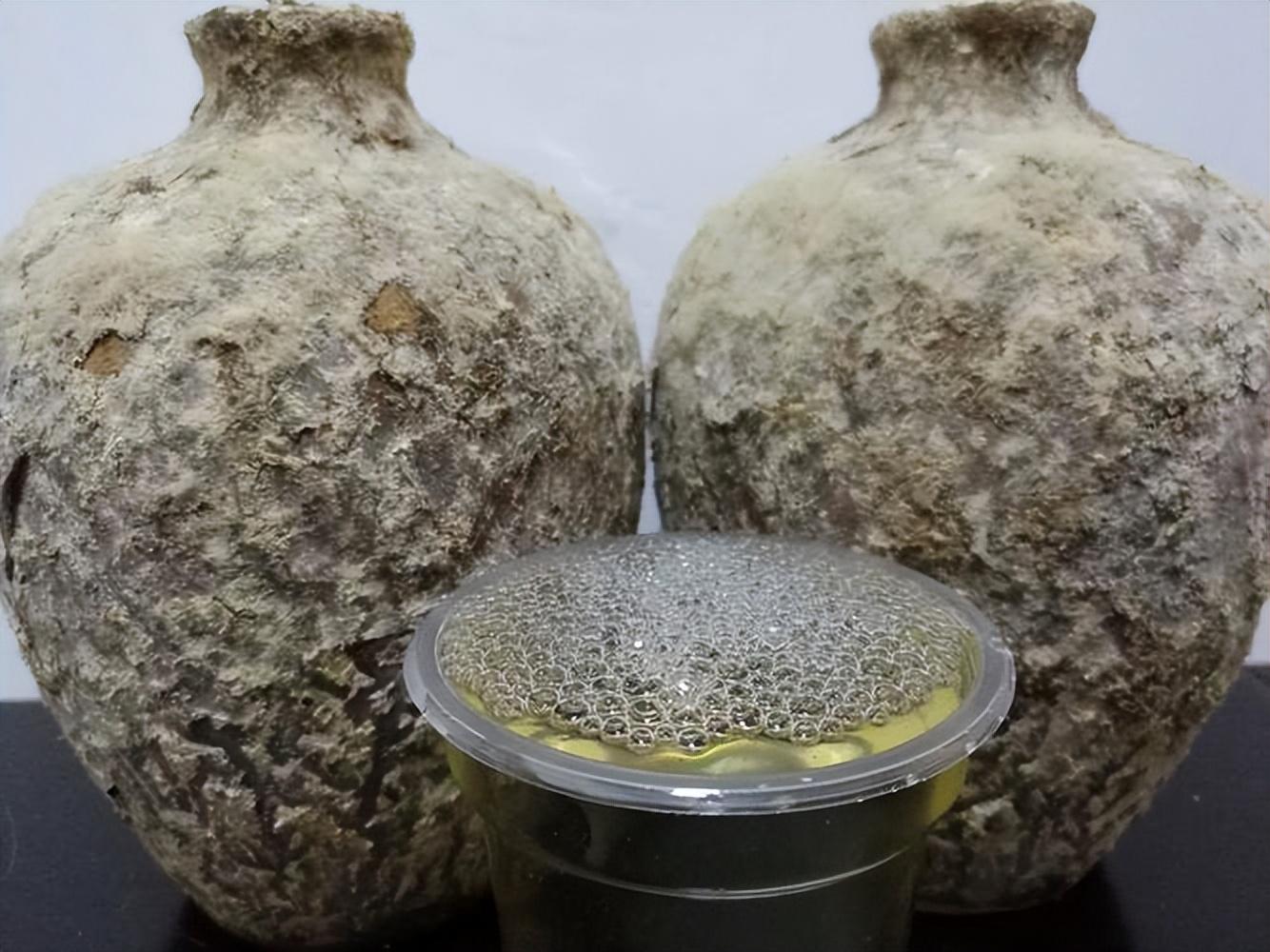 仁懷房屋出售最新信息，科技與家居融合，未來(lái)家居新體驗重磅推出