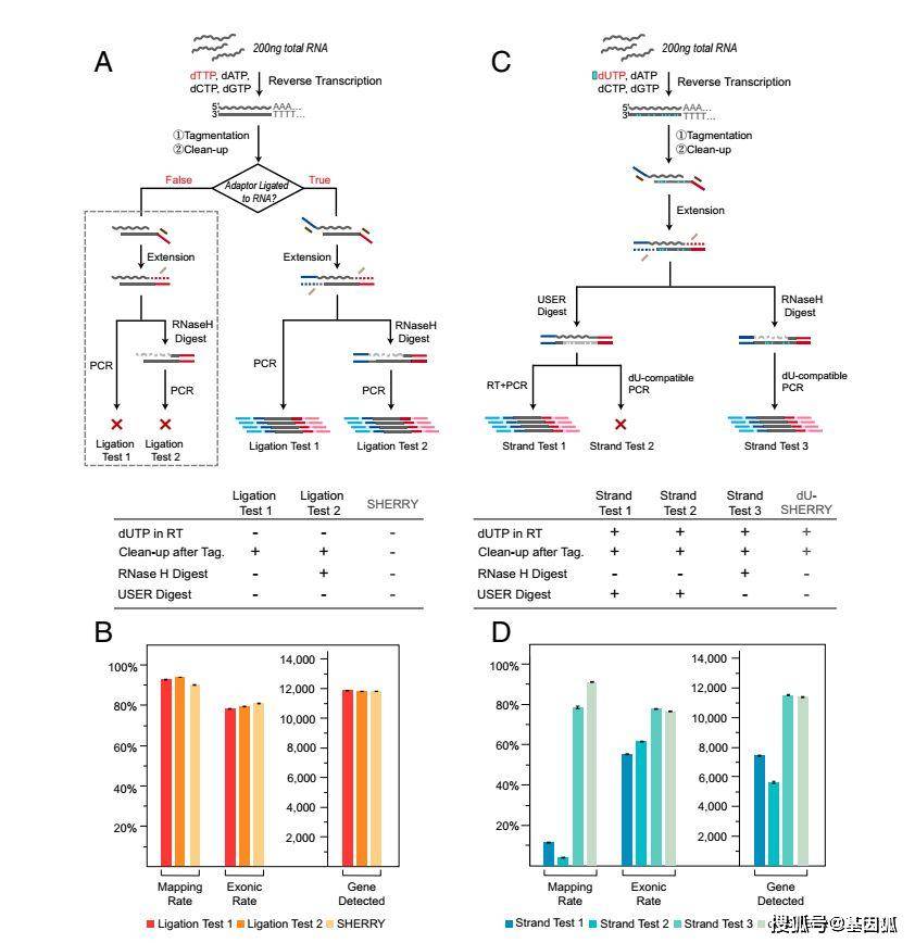 新澳門(mén)49圖資料,科學(xué)分析嚴謹解釋_BDU85.735跨平臺版