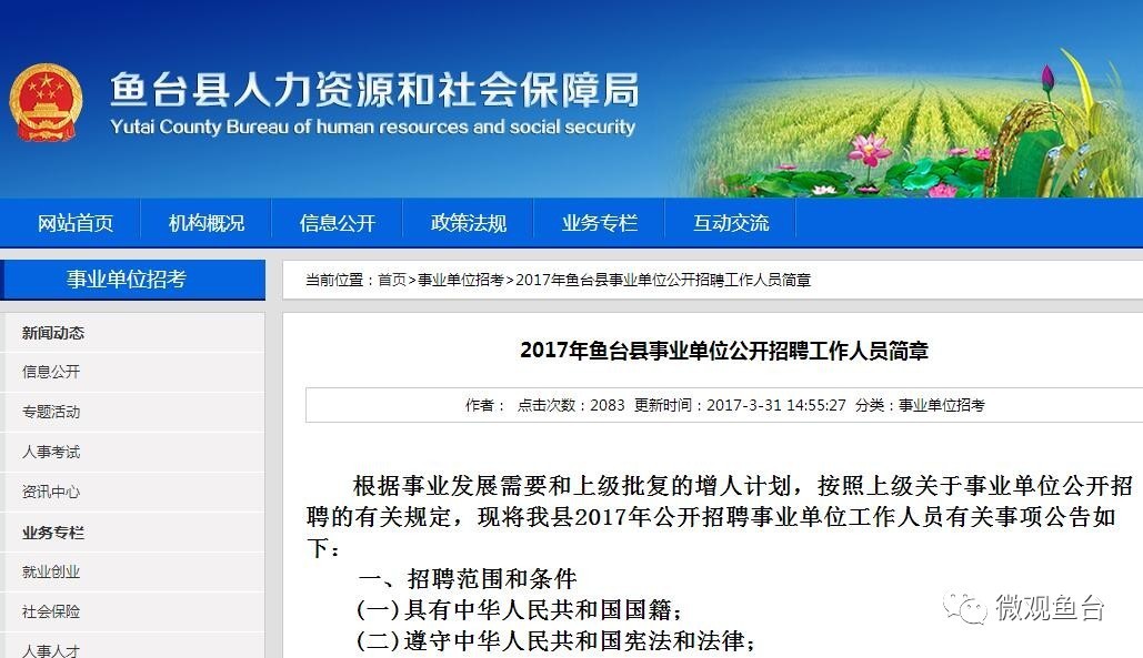 魚(yú)臺最新招聘信息大全，求職步驟指南與招聘信息更新速遞