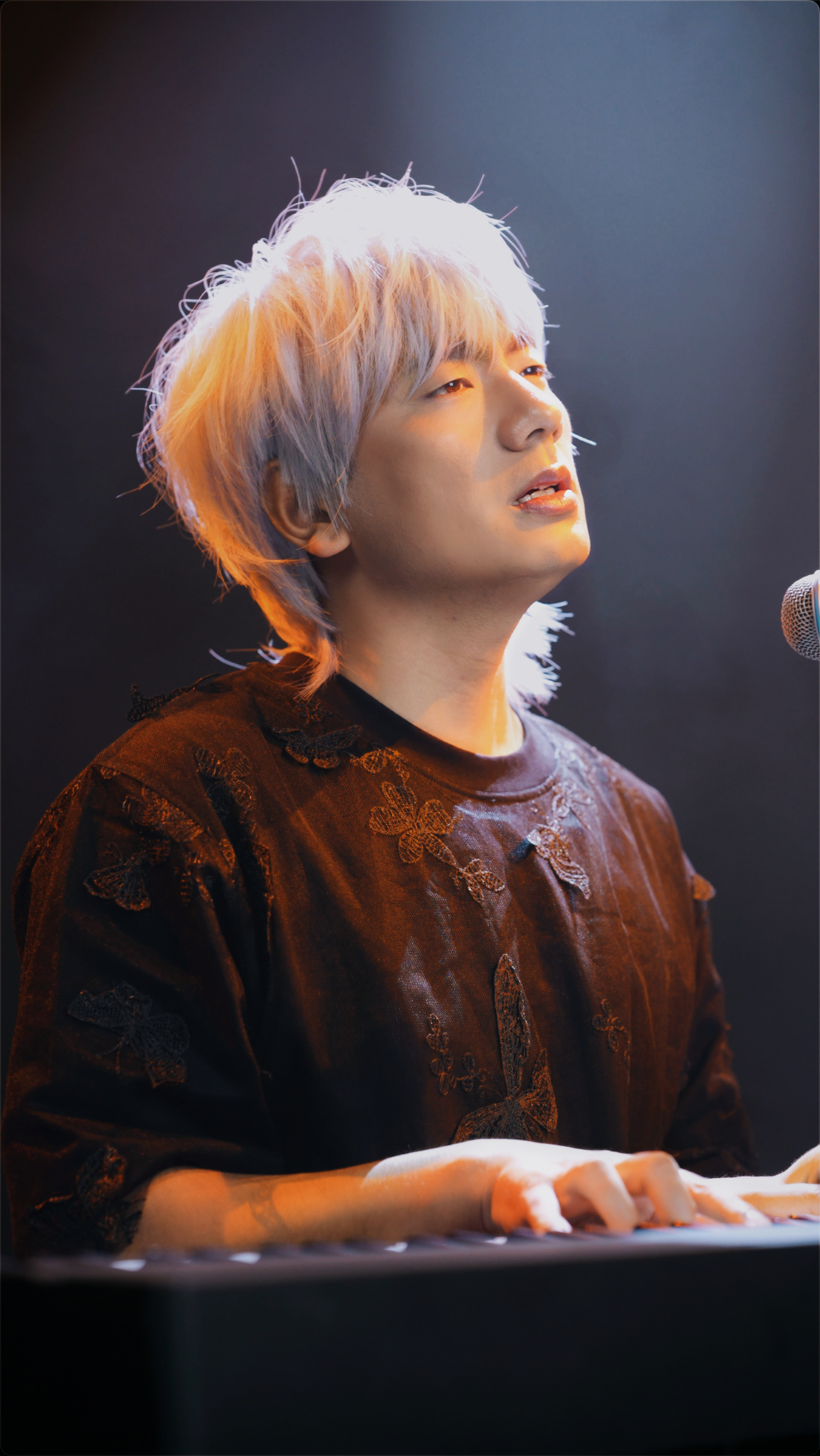 冷漠2024最新預告新歌，音樂(lè )與時(shí)代交融的期待之聲