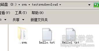 Jav最新網(wǎng)址探索，小巷深處的獨特風(fēng)味之旅