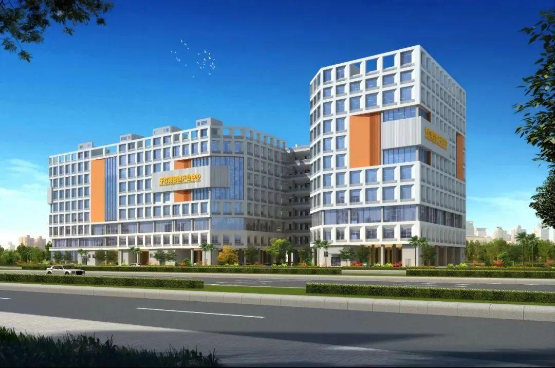 2024又要開(kāi)始做核酸了,數據分析計劃_CSO83.529清新版