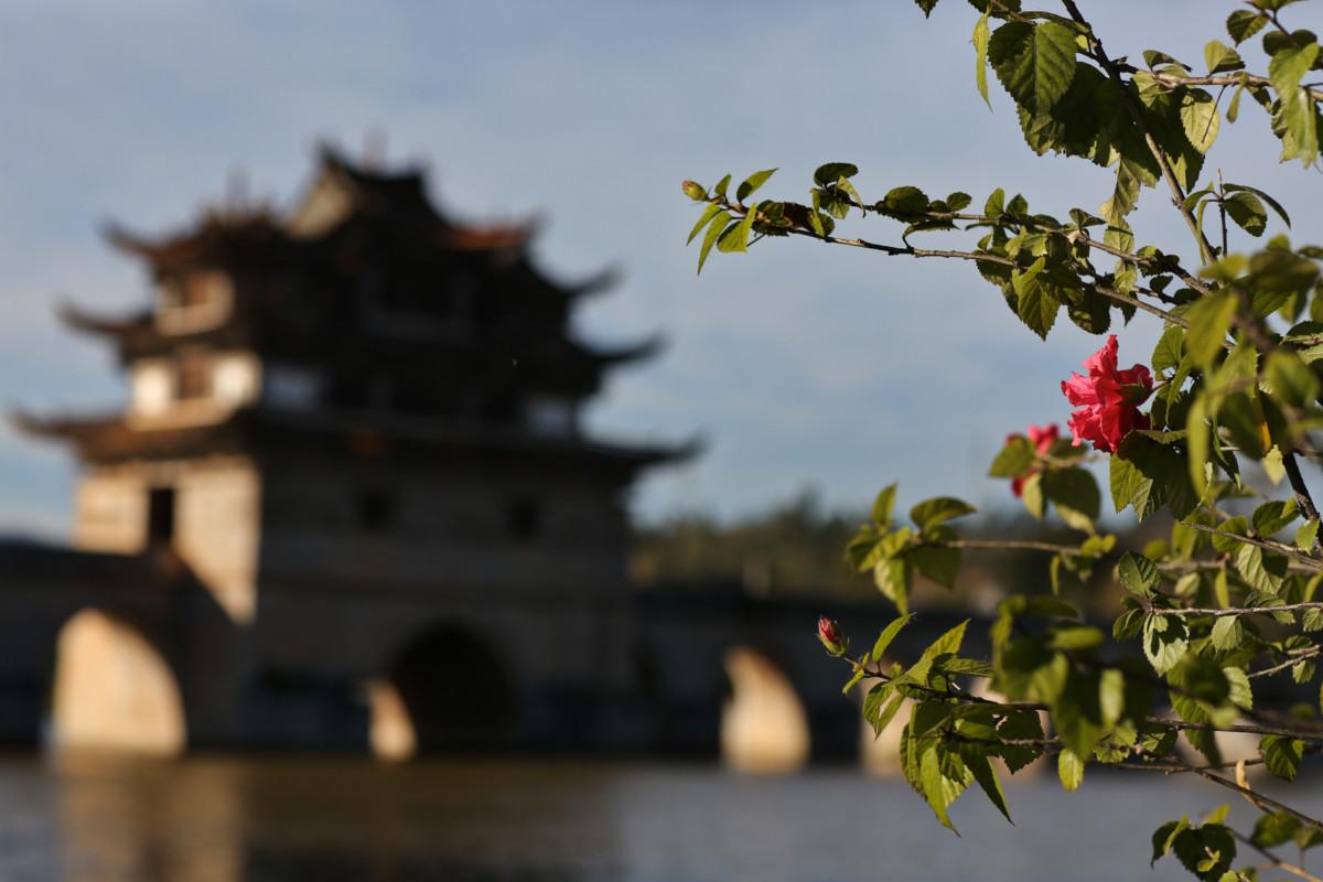 大冰最新力作，智能生活新紀元——科技與生活的完美融合