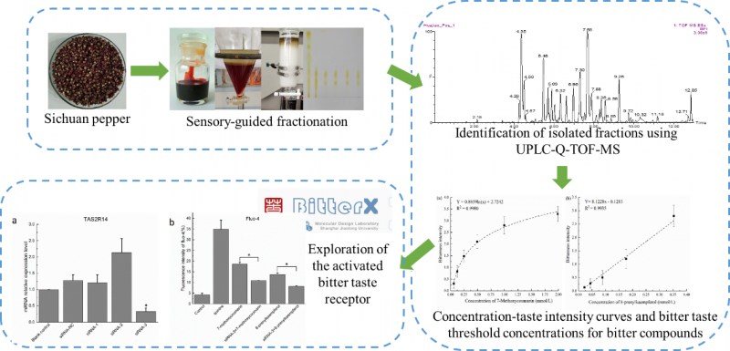 494949開(kāi)獎最快結果,科技成果解析_GZY9.585輕量版
