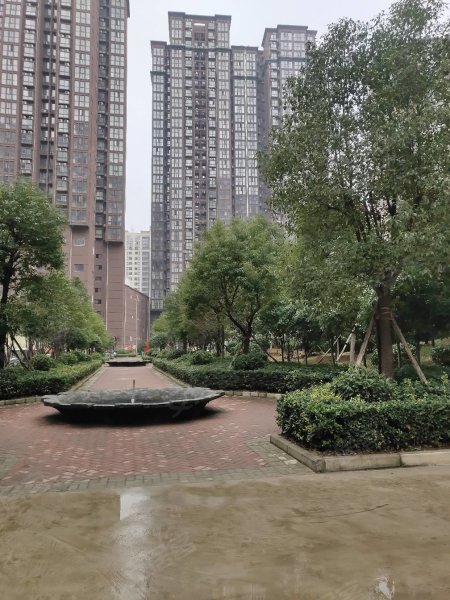 南陽(yáng)盛世御苑最新動(dòng)態(tài)揭秘，全面指南與步驟詳解