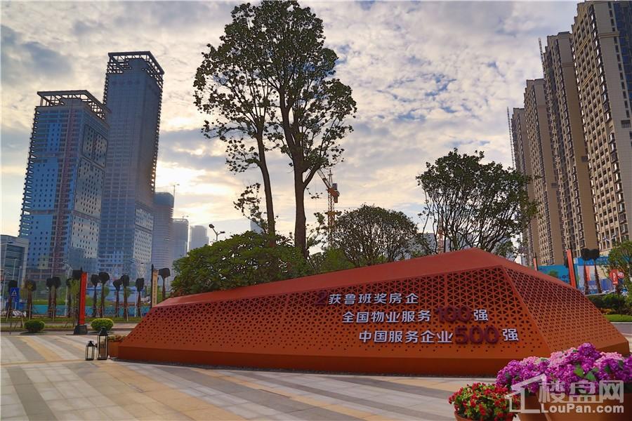 南寧彰泰城最新動(dòng)態(tài)，解讀其最新發(fā)展及影響的一種觀(guān)點(diǎn)分析