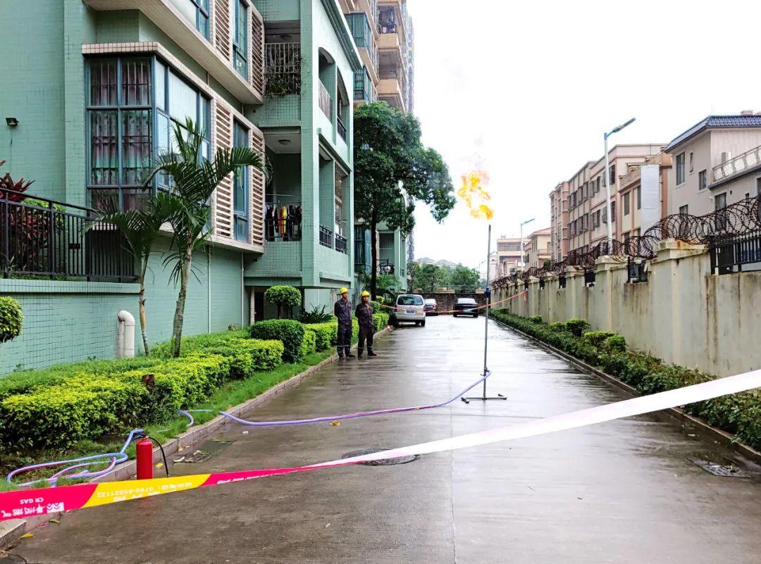 中山東鳳佛奧最新動(dòng)態(tài)，自然美景的探索之旅，尋找內心平和與寧靜