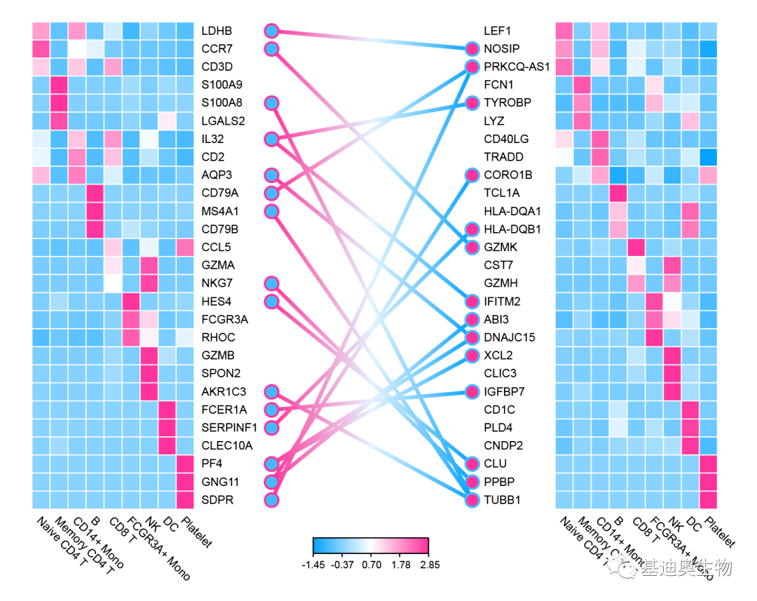 2024新澳門(mén)天天彩期期精準,高效性設計規劃_云端版11.924