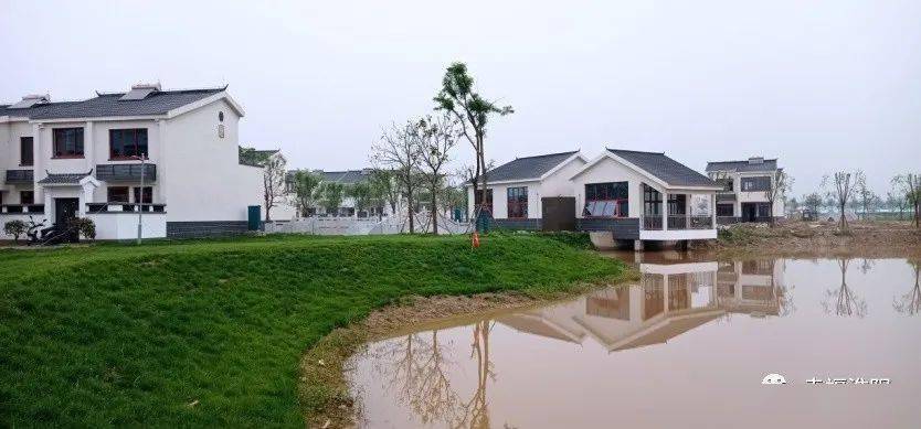 高劉鎮天河村最新消息及其影響深度解析