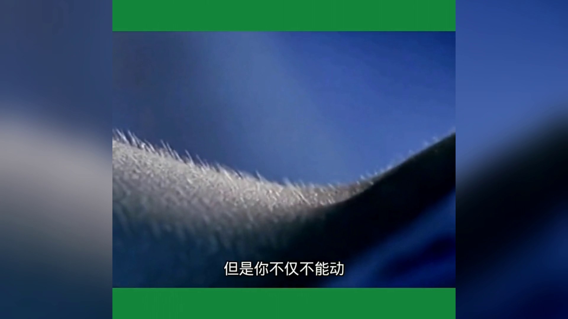 新澳門(mén)最精準正最精準,科學(xué)分析解釋說(shuō)明_桌面款98.781