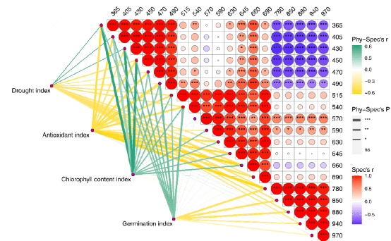 新澳門(mén)資料大全正版資料？奧利奧,科學(xué)解釋分析_增強版40.269