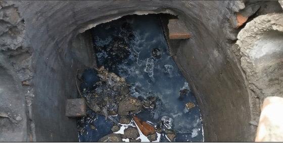 遂寧市電子廠(chǎng)最新招聘，與自然共舞，探尋內心寧靜之旅