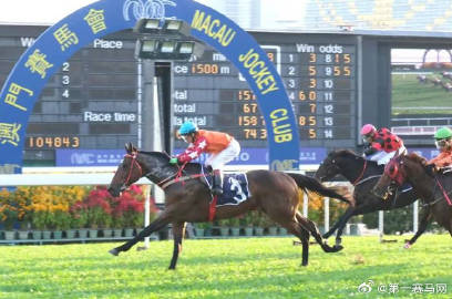 2024年澳門(mén)特馬今晚,標準執行具體評價(jià)_知識版49.560