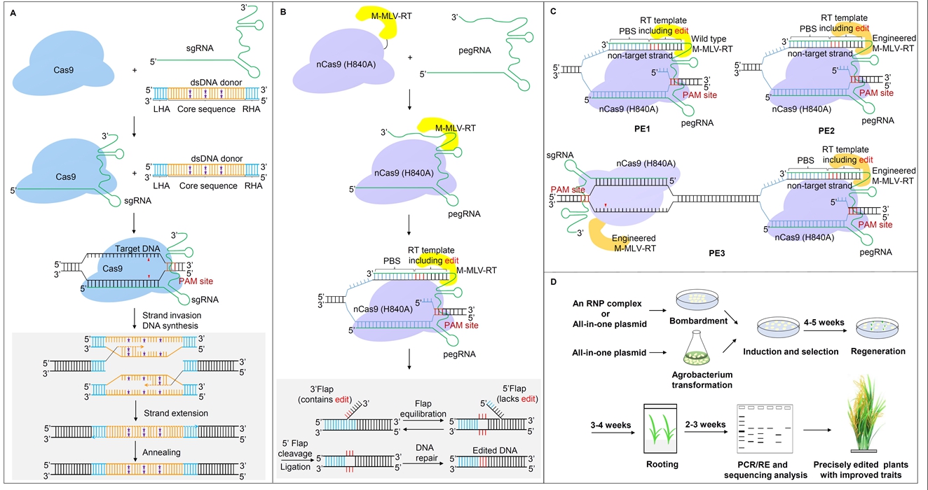 7777788888精準跑狗圖 拒絕改寫(xiě),數據引導執行策略_個(gè)性版63.850