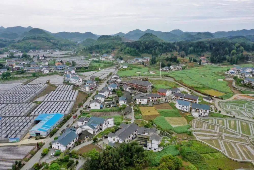 遵義市喇叭鎮最新動(dòng)態(tài)更新，最新消息匯總