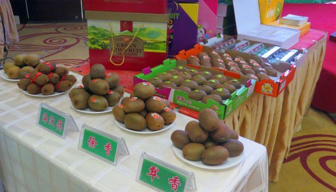 嘉興對接上海最新進(jìn)展，城市崛起中的自信與成就感展現新面貌