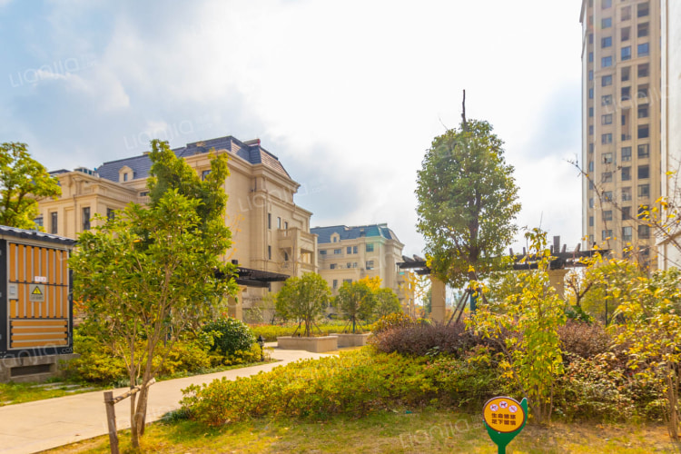 塞納藍灣二期最新動(dòng)態(tài)，變化中的學(xué)習之旅，自信與成就感的源泉啟航