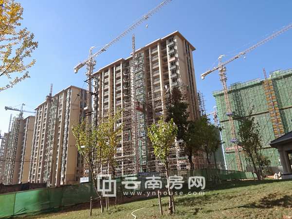 眾和康園二期最新動(dòng)態(tài)揭秘，未來(lái)生活新篇章開(kāi)啟