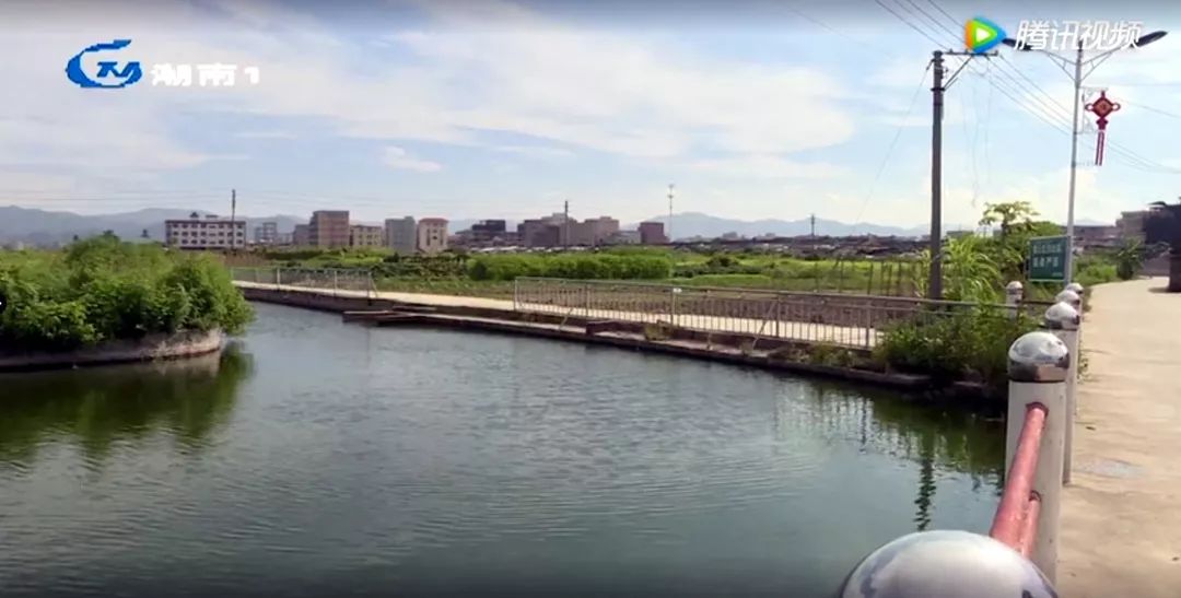 仙城鎮七陂村最新動(dòng)態(tài)更新??