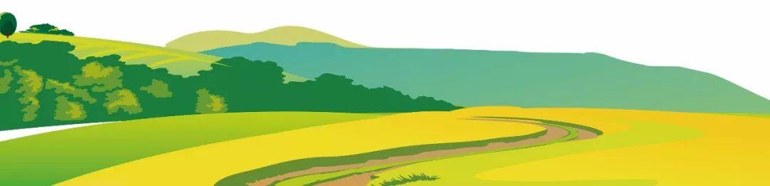 藍田縣未來(lái)藍圖，最新發(fā)展規劃揭秘