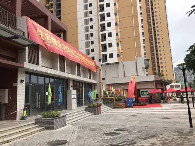 羊臺苑公租房最新動(dòng)態(tài)與巷弄中的驚喜小店探秘