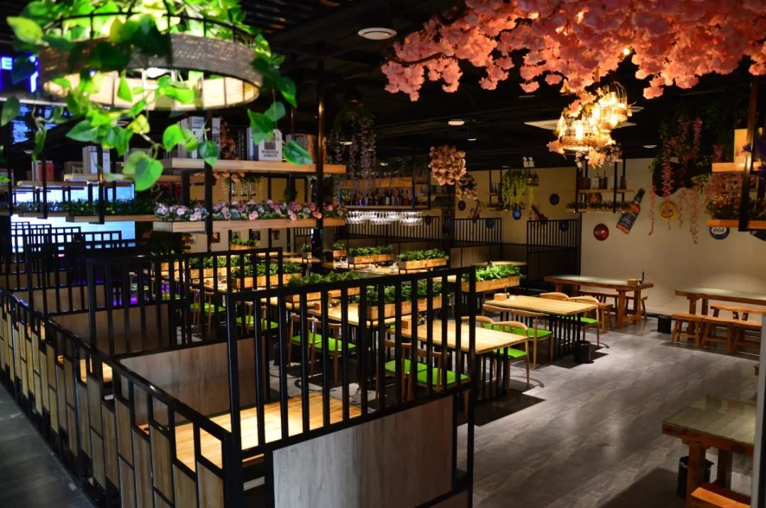 中餐廳最新一期音樂(lè )，熱門(mén)旋律與節目魅力的完美交融