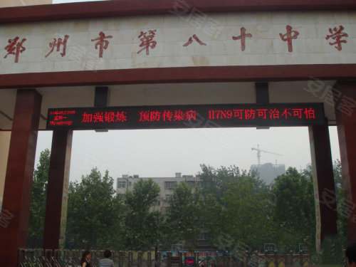 中原區九龍城最新動(dòng)態(tài)深度解析，最新進(jìn)展與觀(guān)點(diǎn)闡述