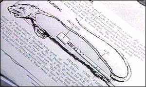 美國填尸最新進(jìn)展，高科技重塑生活，未來(lái)科技魅力體驗