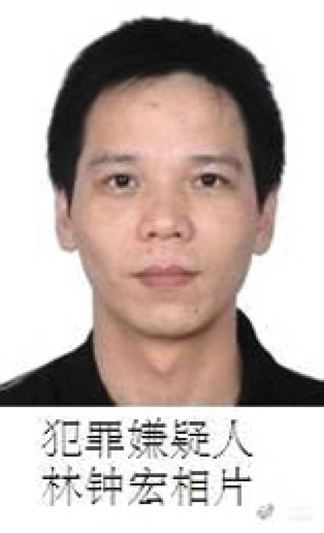 張宸案最新進(jìn)展，城市生活的溫馨日常關(guān)注