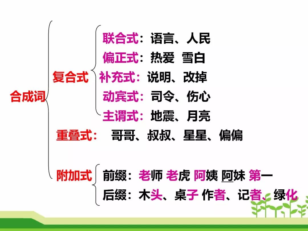 最新合成詞，語(yǔ)言發(fā)展的微觀(guān)視角探索