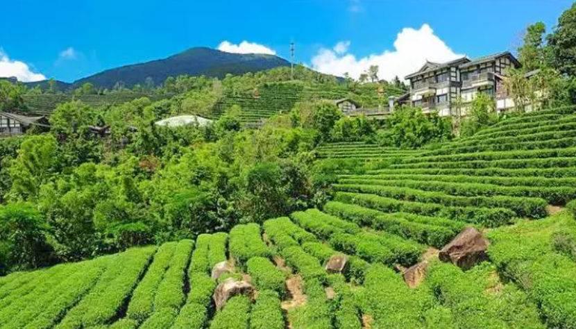 深圳驚喜活動(dòng)溫情之旅，日常中的特別瞬間