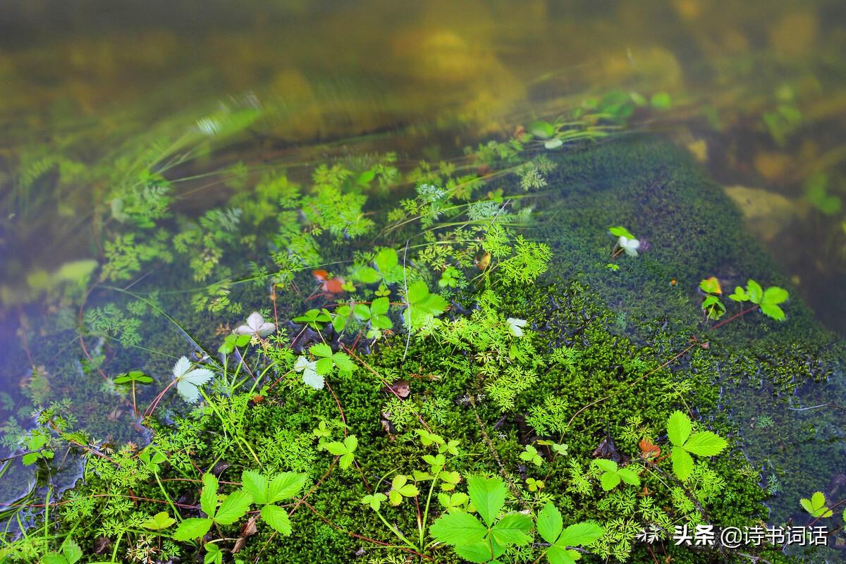 南山高樓崛起，背景、發(fā)展與時(shí)代地位全景解析