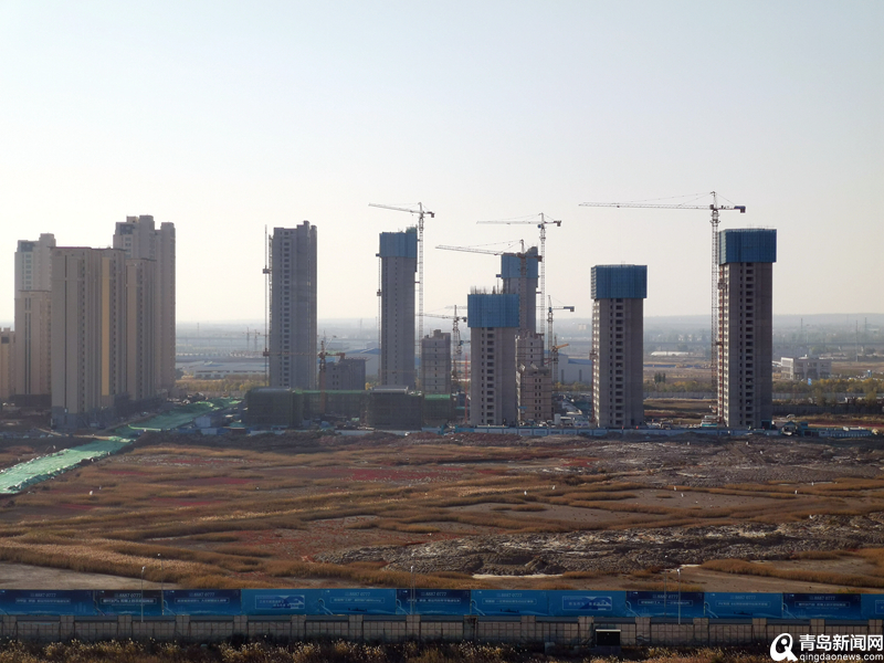 青島最新項目啟航新征程，自信成就夢(mèng)想之路
