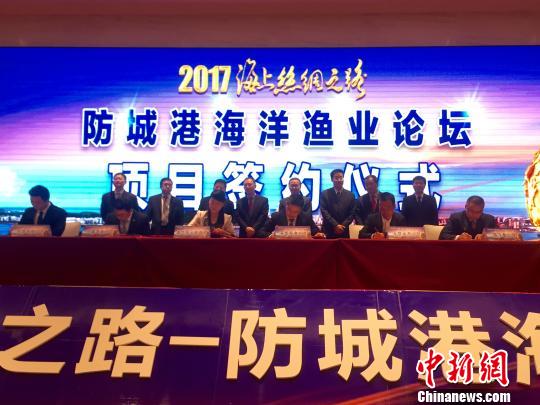 防誠港最新,防誠港的最新發(fā)展，機遇與挑戰并存