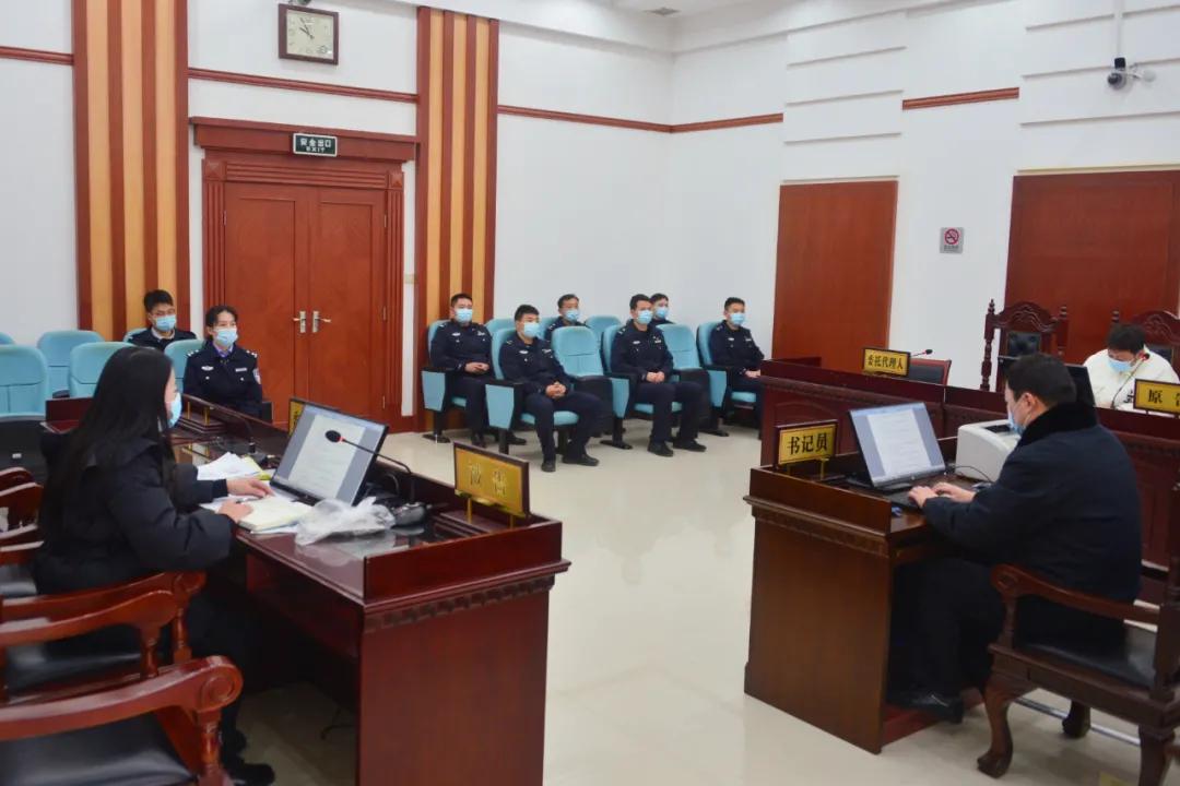 憲法案件最新動(dòng)態(tài)，小巷深處的情懷與特色小店的奇遇