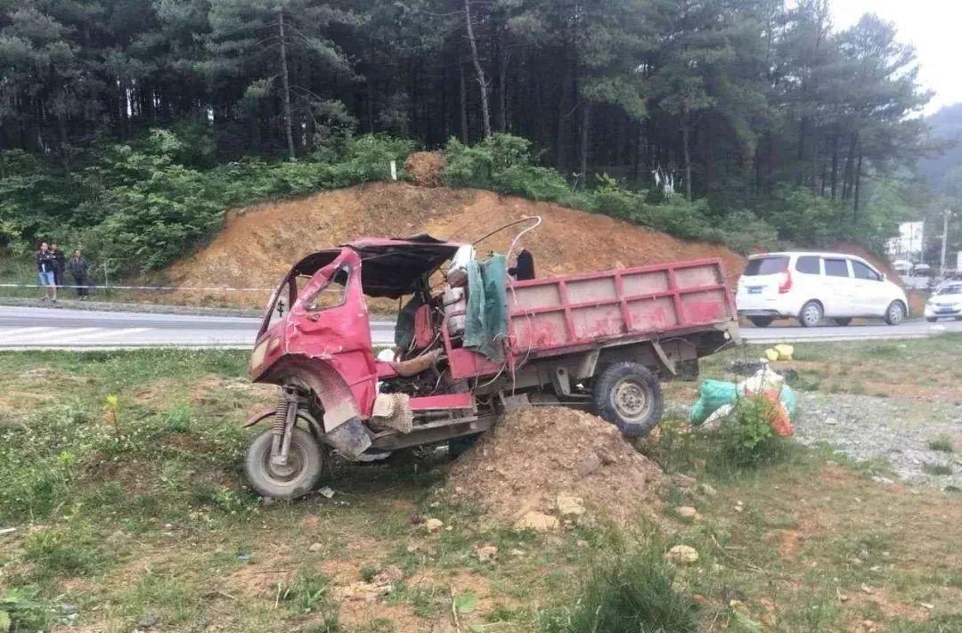 平山事故背后的溫馨故事，友情、愛(ài)與陪伴的奇遇